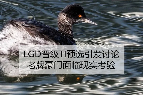 LGD晋级TI预选引发讨论 老牌豪门面临现实考验